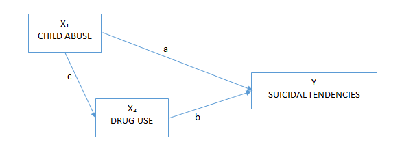 Figure 39: Direct and Indirect Effects within Variables